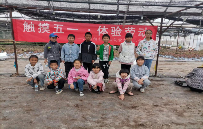 图片1