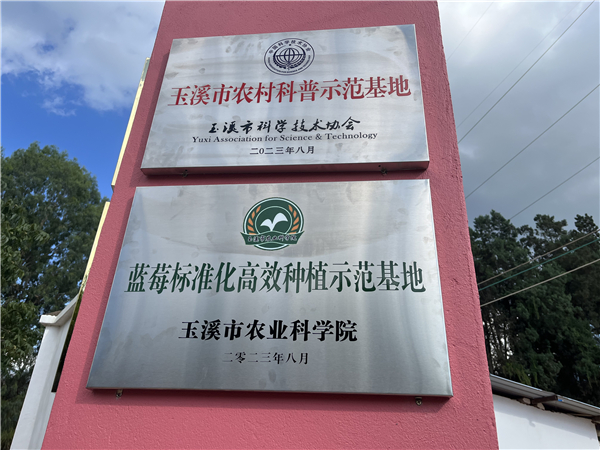 宁海街道高原特色现代农业基地揭牌4