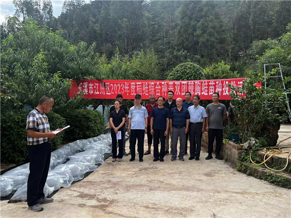 双团棘胸蛙苗种投放活动1