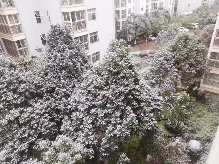 微信图片_20250127103313