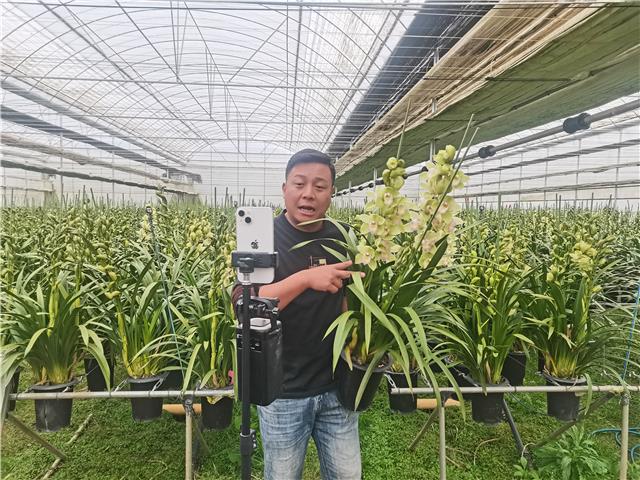 6a9d7e16b89d4ac68721d4888d65d2e5