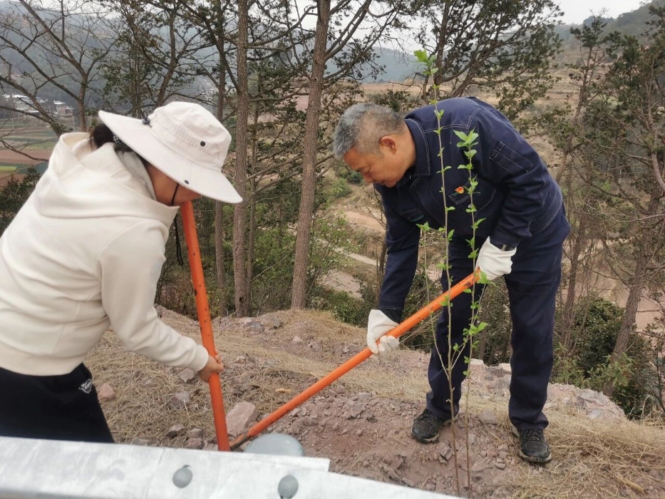 安化乡与红塔烟草集团共植“生态林”