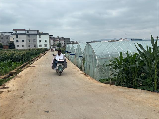 微信图片_20260611175200_237_1689